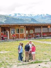 Jackson Hole Shooting Experience