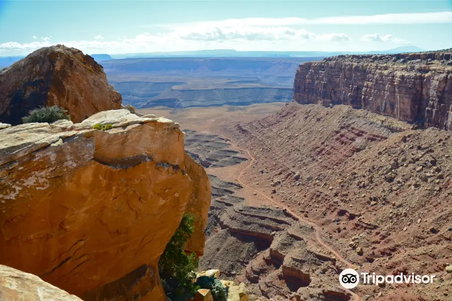 Muley Point Overlook