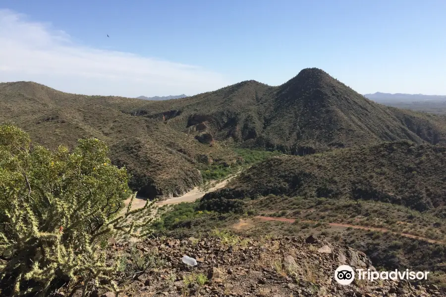 Adventures of a Lifetime ATV