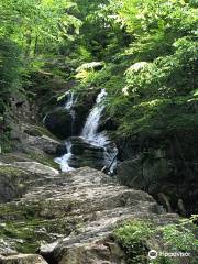 Chester-Blandford State Forest