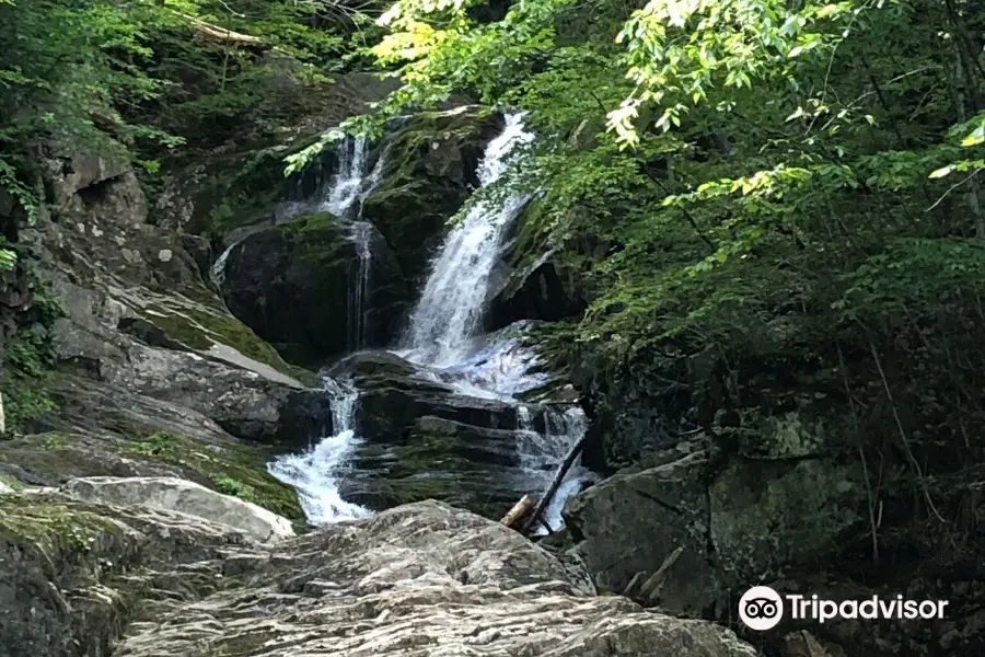 Chester-Blandford State Forest