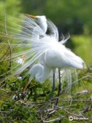 Smith Oaks Bird Sanctuary