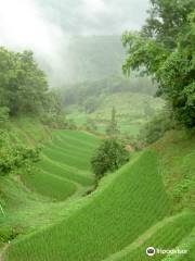 Izumidani Terraces