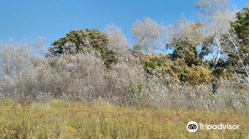 Lake County Forest Preserves