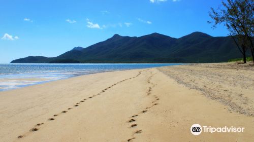 Gloucester Island National Park