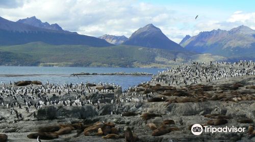 Isla de Los Pajaros