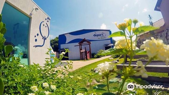Bonito's aquarium