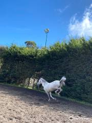 CEM - Clube Equestre da Madeira