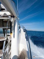 Dolphin Navigation Mykonos Cruises