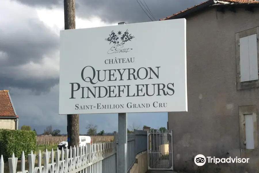 Chateau Queyron Pindefleurs