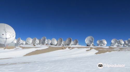 ALMA Observatory