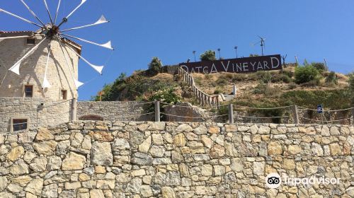 Datca Vineyard & Winery