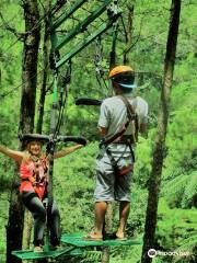 Tree Top Adventure Baguio