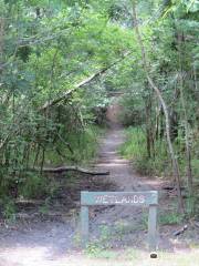 Dow Centennial Bottomlands Park