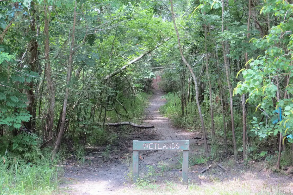 Hotels near Dow Centennial Bottomlands Park