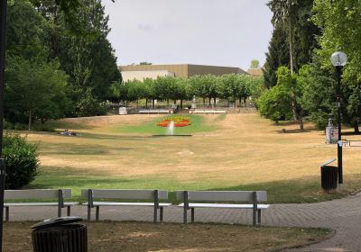 Alter Kurpark