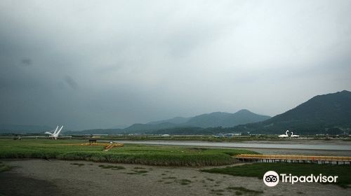 Gangjin Bay Ecological Park