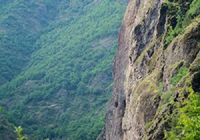 Artvin