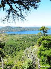 Canopy Bariloche