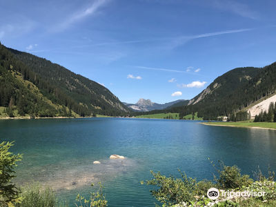 Vilsalpsee