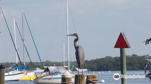 No Pier Pressure Charters