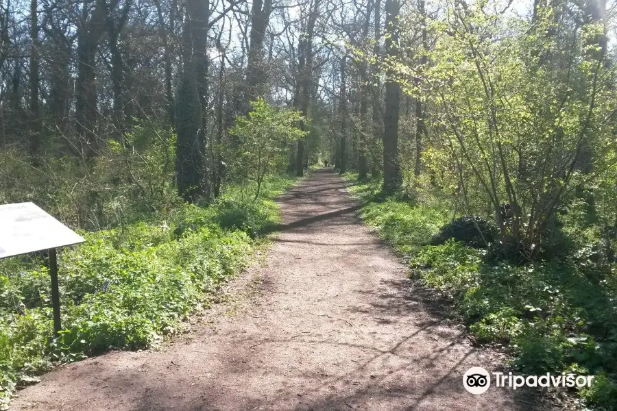 Mowsbury Park