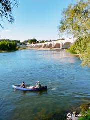 Pont Wilson