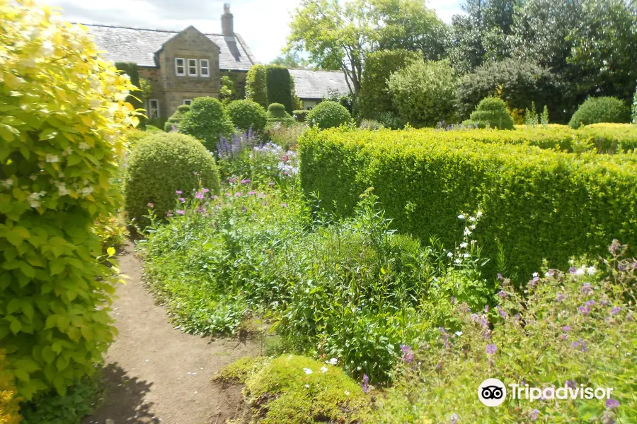 Herterton House Gardens