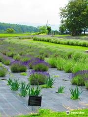 White Oak Lavender Farm & The Purple WOLF Vineyard