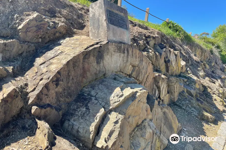 Castlemaine Anticlinal Fold