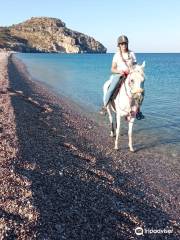Horse Riding To The Beach
