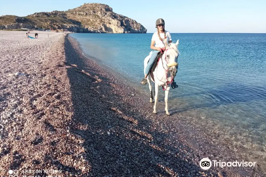 Horse Riding To The Beach