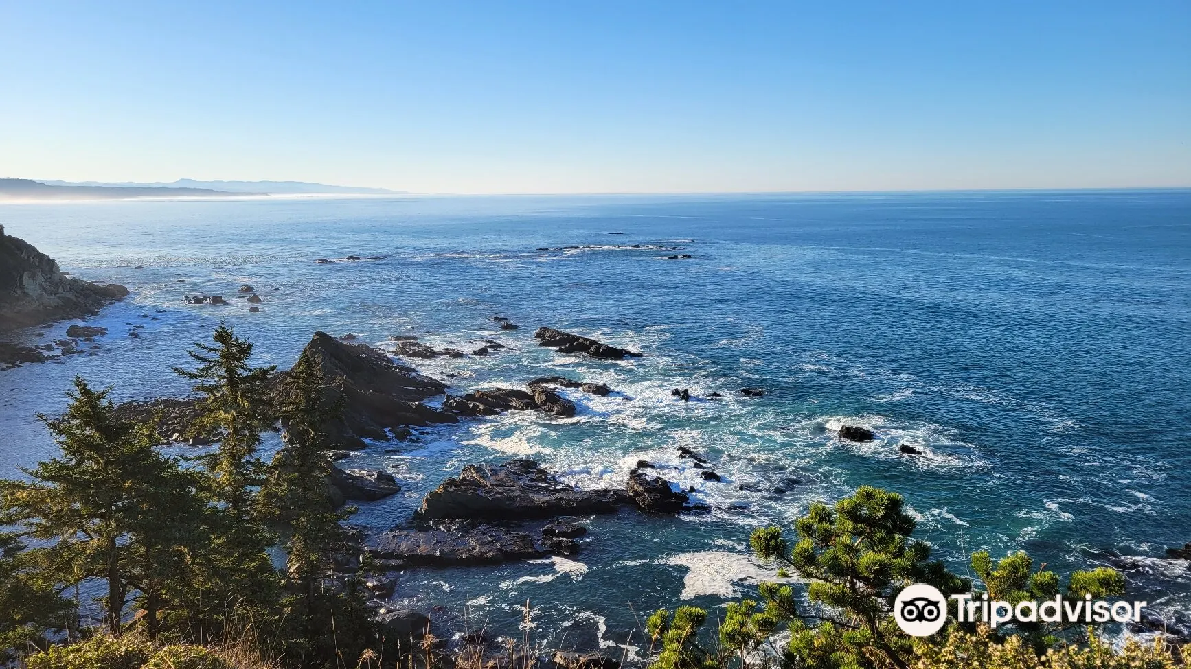 Cape Arago State Park