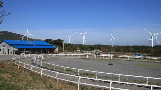 Jeju Horse Park