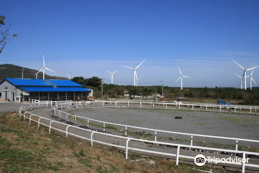 Jeju Horse Park