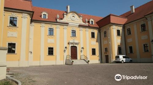 The team Cistercian monastery and palace complex in Rudy