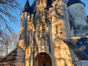 Chateau de Javarzay