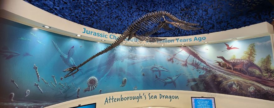 Charmouth Heritage Coast Centre