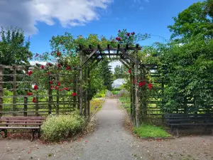 Botanischer Garten Chemnitz