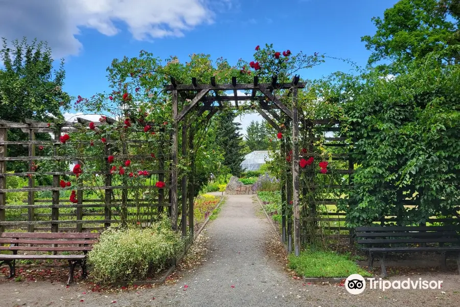 Botanischer Garten Chemnitz