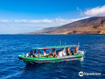 The Magic Merman Snorkel Charters