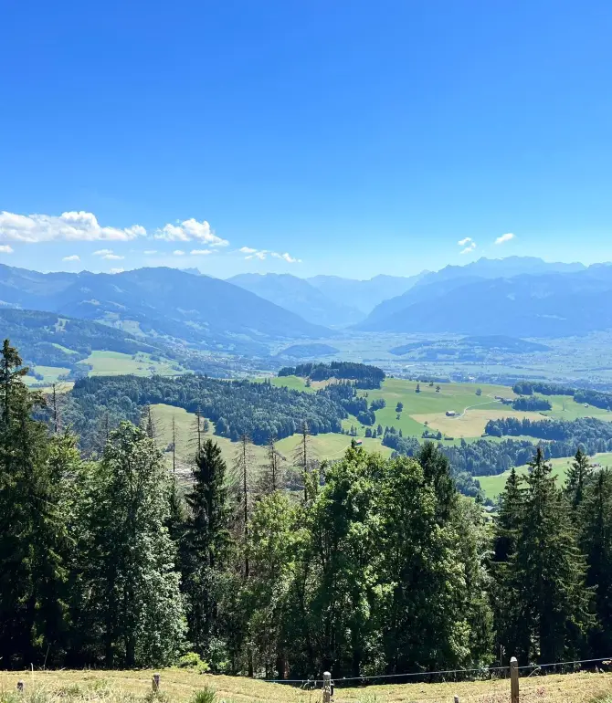 Sankt Gallenkappel