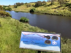 Bombala Platypus Reserve