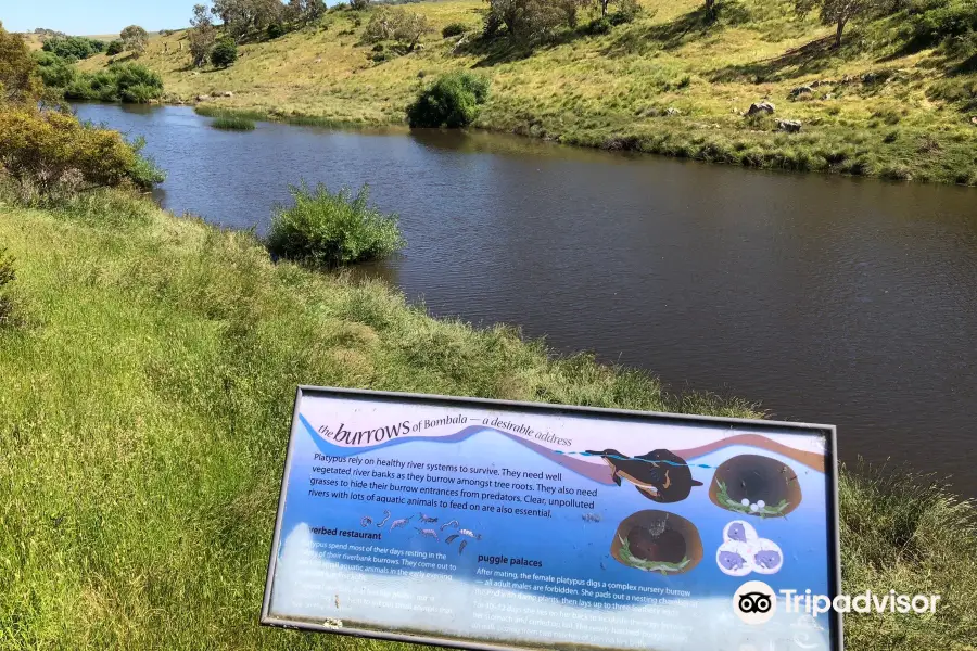 Bombala Platypus Reserve