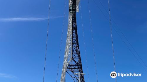 Matagarup Bridge