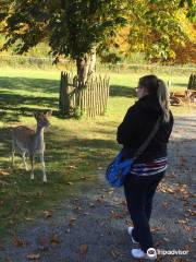 Wildpark Klaushof