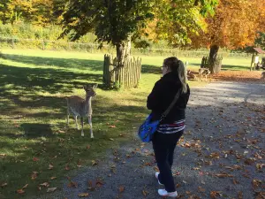 Wildpark Klaushof