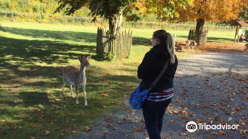 Wildpark Klaushof