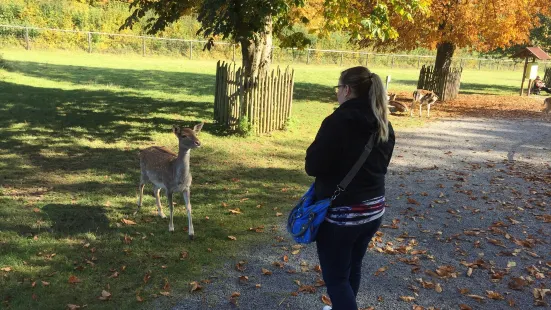 Wildpark Klaushof