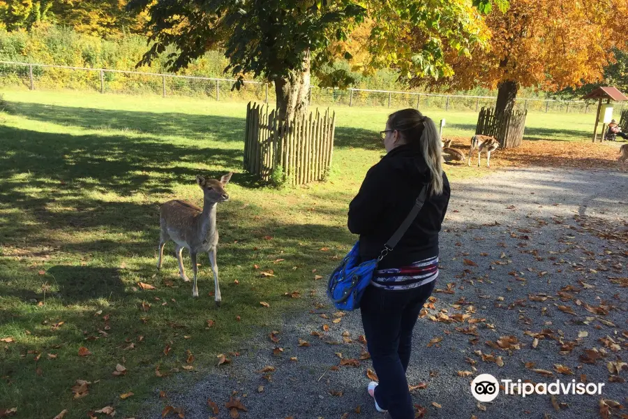 Wildpark Klaushof